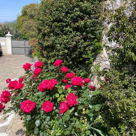 Les Trefles Apartment Hyeres Exterior photo